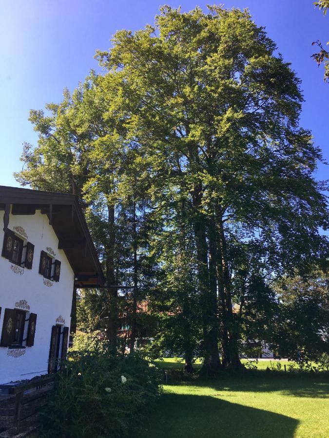 Traumhaftes Ferienhaus Direkt Am Tegernsee Rotta Eksteriør billede